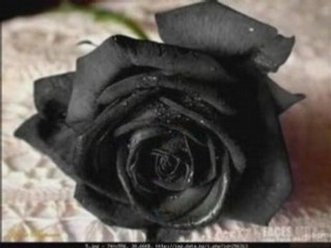 ПрИнЦеСс и ТаНиЧкА - БеЗ МеН