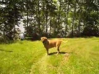 Dawson dans toute sa splendeur