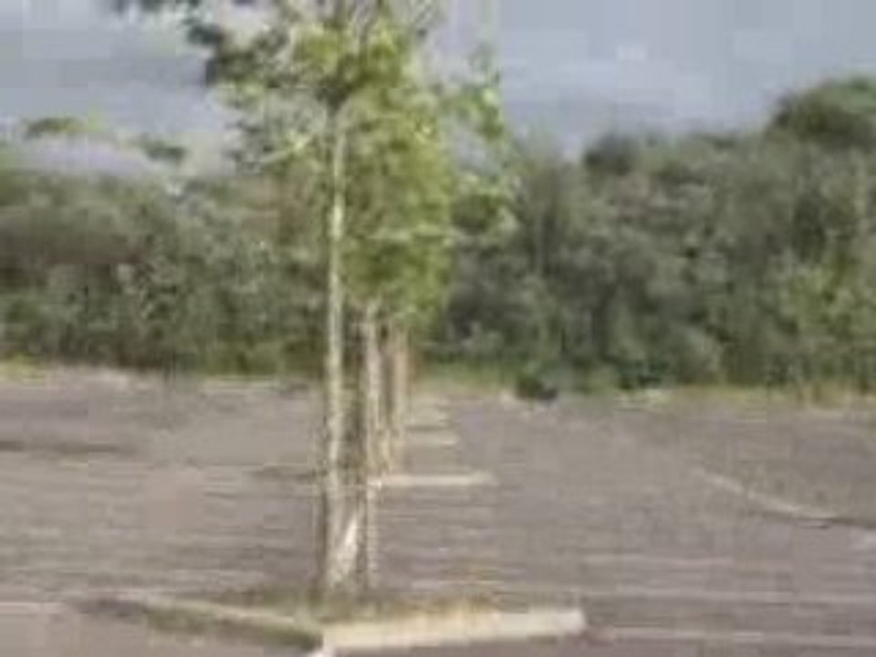 wheel sceance du 280608