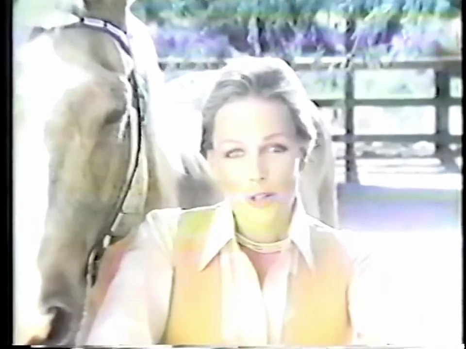 November 17, 1978 commercials (Part 8)