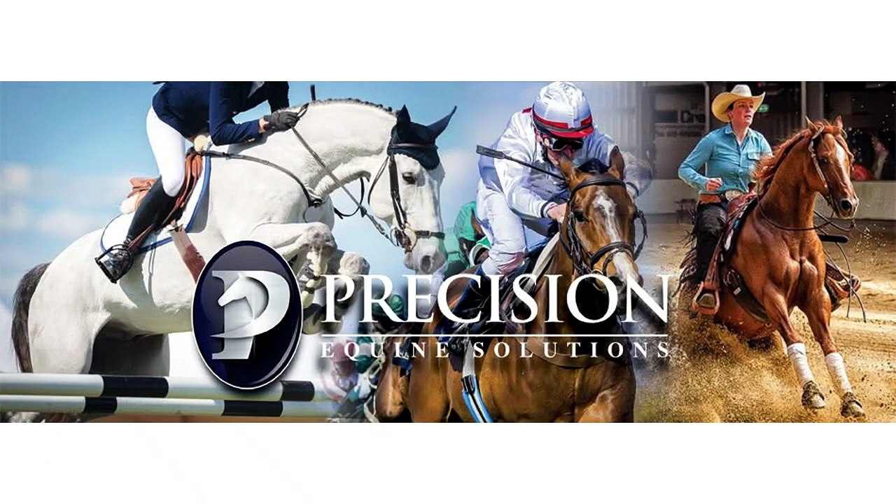 Precision Equine Solutions - Best Joint Supplements For Performance Horses