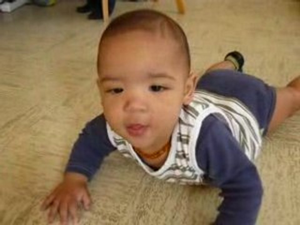 Lenny marche 4 pattes