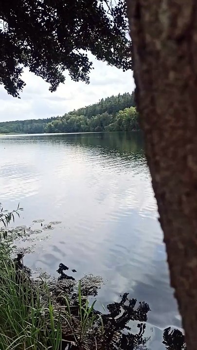 Idylle pur am Salemer See – Unterwegs im Norden