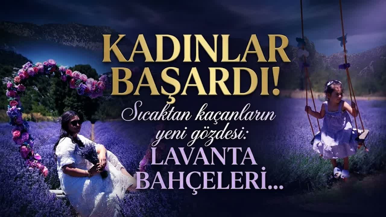 Adana sıcağından kaçanlar lavanta bahçelerine akın etti  iha