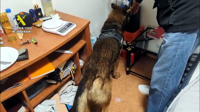 La Guardia Civil desarticula dos puntos de venta de sustancias estupefacientes en San Clemente