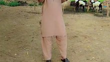 Punjabi mahol