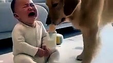 The Smart | Dog That Cares for a Baby 🐶👶 #Dailymotion #Foryou #dog #baby #viralvideo