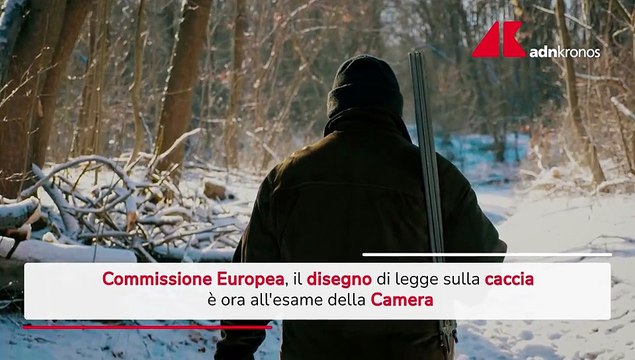 Ddl Caccia all'esame della Camera, Commissione Ue vigila