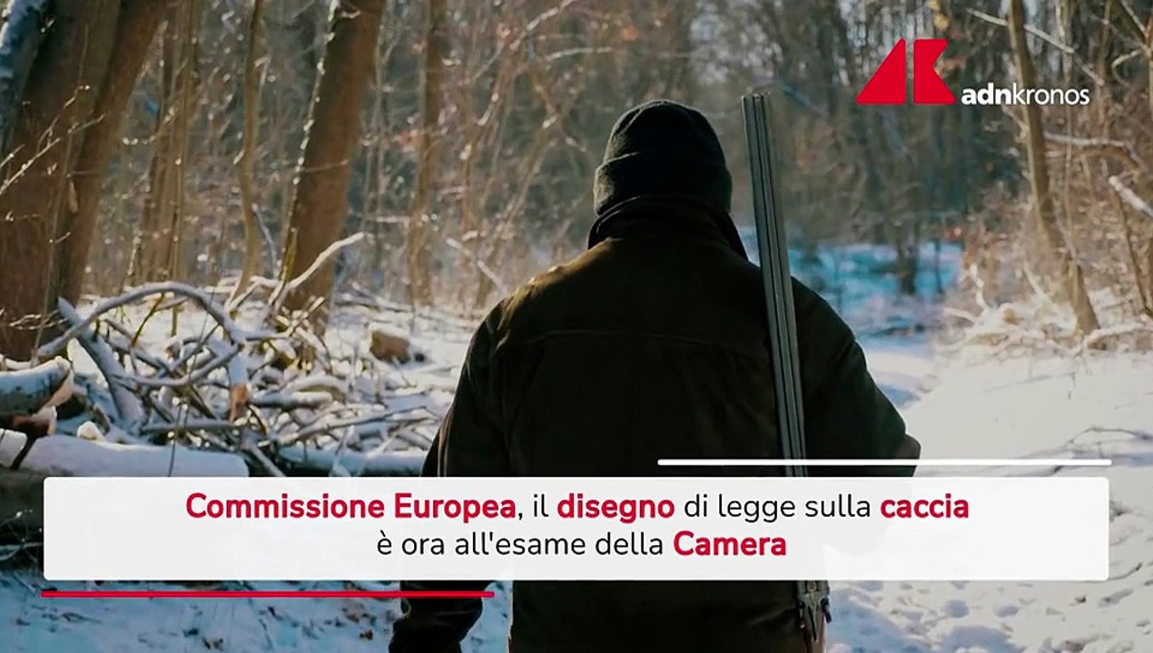 Ddl Caccia all'esame della Camera, Commissione Ue vigila