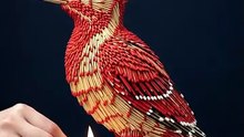 Woodpecker bird