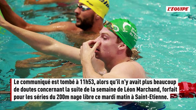 Blessé à l'adducteur droit, Léon Marchand est forfait pour la fin des Championnats de France - Natation - Championnats de France