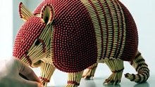 Armadillo