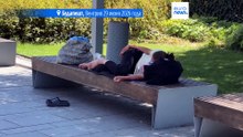 Венгрия один за другим бьет температурные рекорды