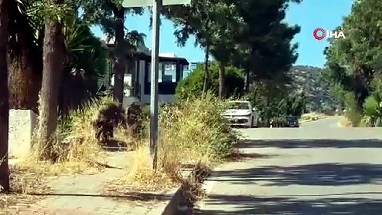 Bodrum\'da güpegündüz şaşkına çeviren manzara: Mahalle arasına kadar indiler!