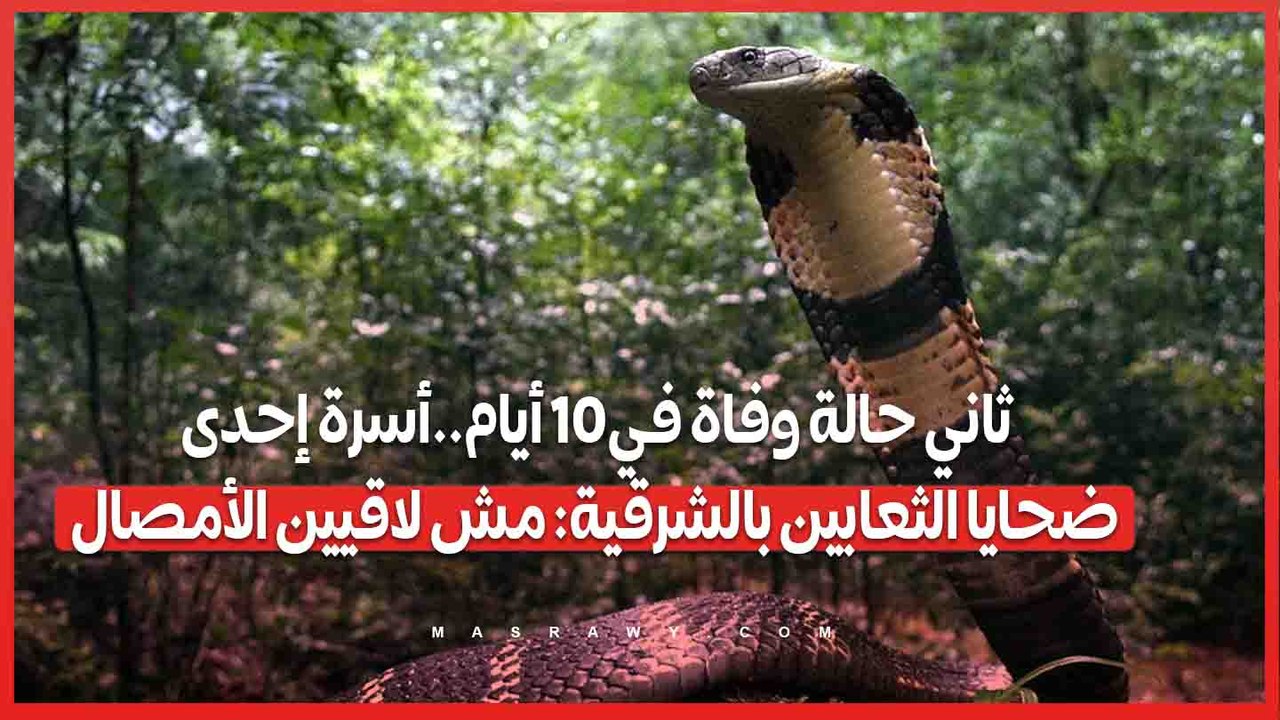 ثاني حالة وفاة في 10 أيام..أسرة إحدى ضحايا الثعابين بالشرقية: مش لاقيين الأمصال