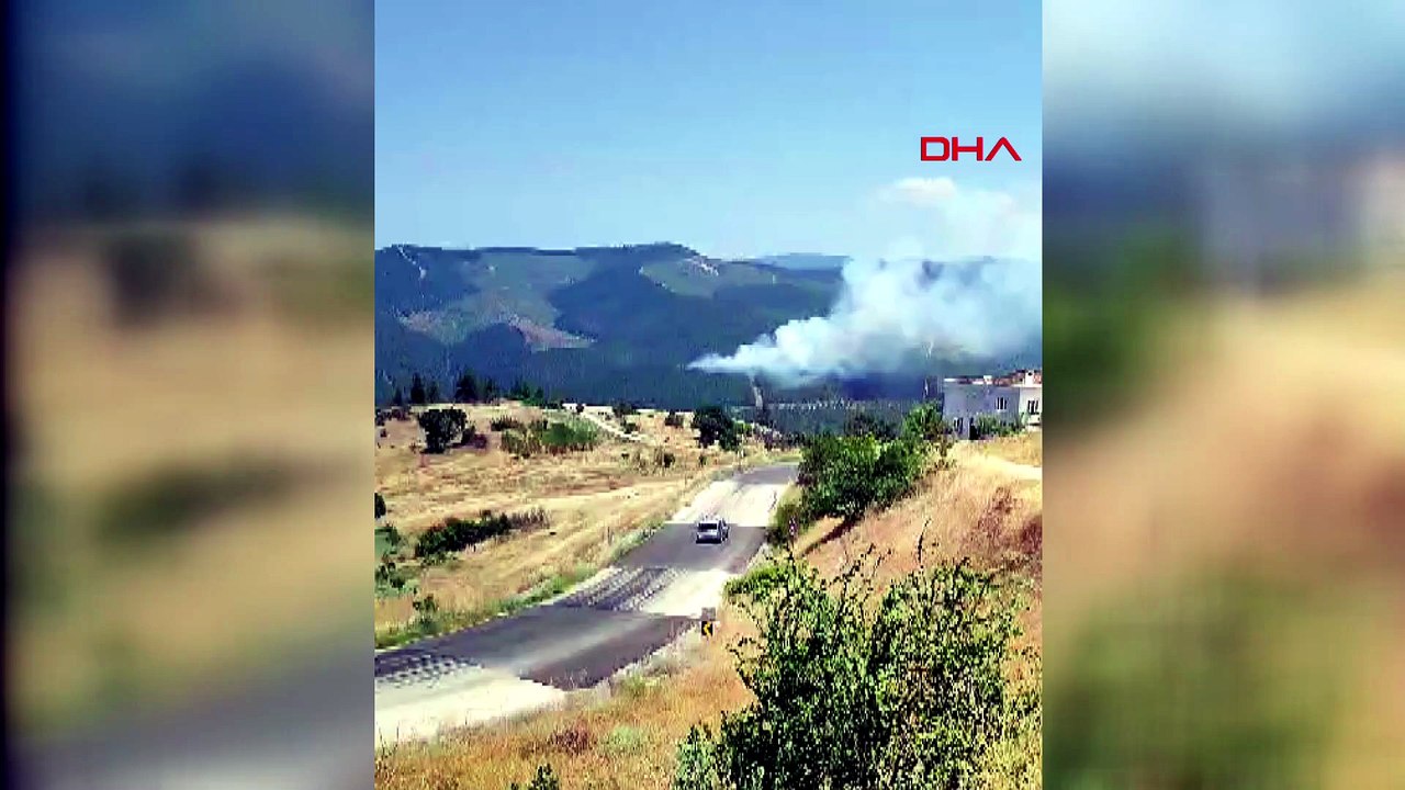 Bursa’da orman yangını çıktı! Bölgeye çok sayıda ekip sevk edildi