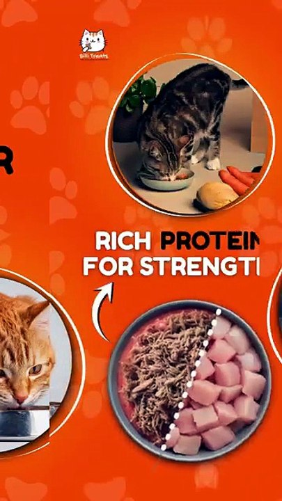 Give Your Cat a Healthy Meal with Homemade Chicken Cat Food | Billi Treats