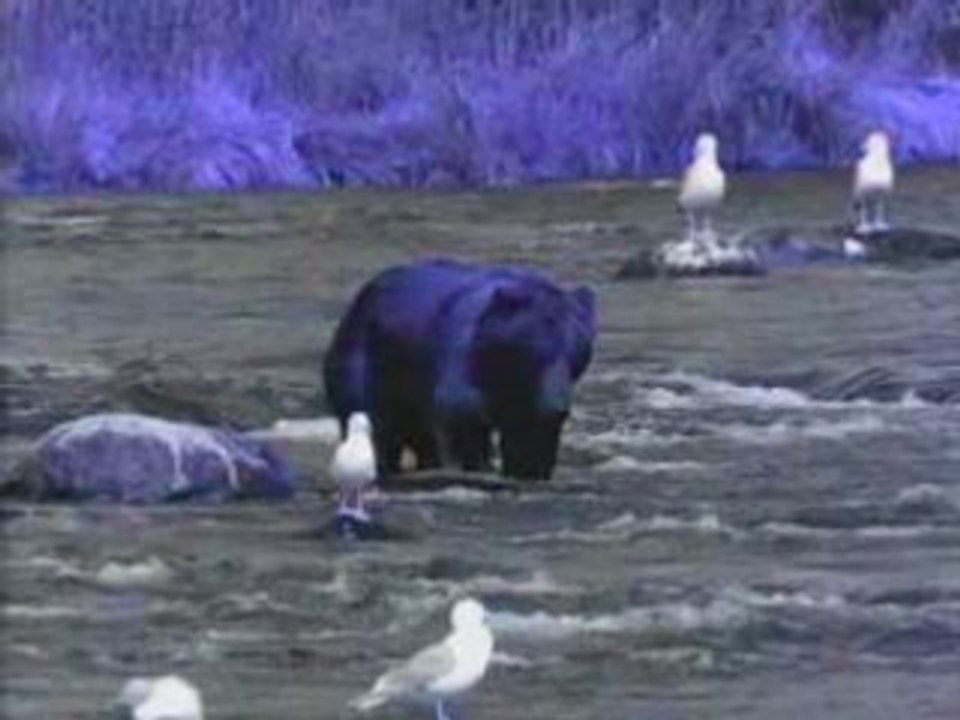 Un petit moment de nature . . .