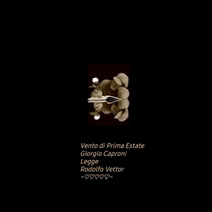 Creative video annare53 ❤️