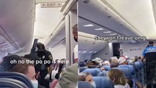 Shocking Emergency Landing Required to Remove Disruptive Passenger
