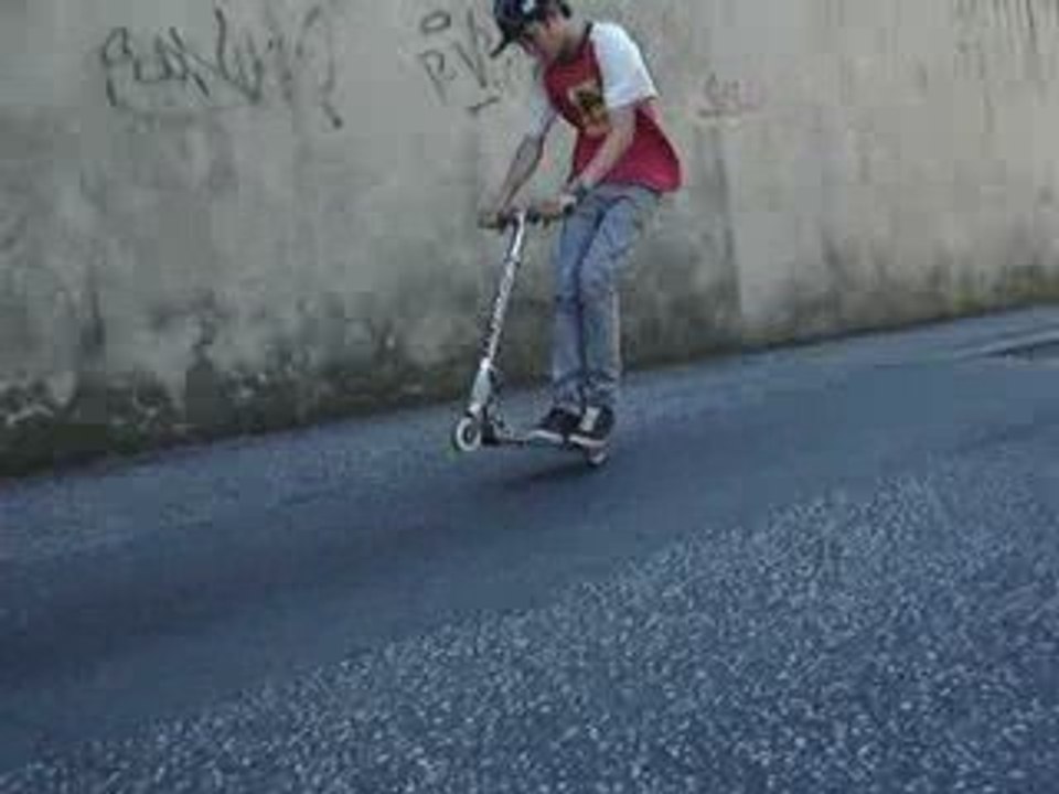 Robin, video 1_0002