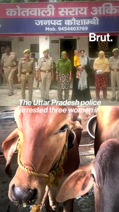 UP police follows a tip-off about beef into someone’s kitchen