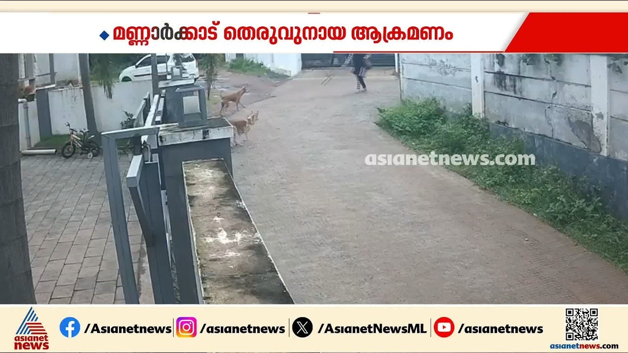 തെരുവുനായപ്പേടിയിൽ സംസ്ഥാനം |Stray Dog Attack