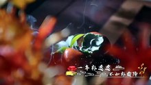 Gen Z-S1E17-English Subtitle