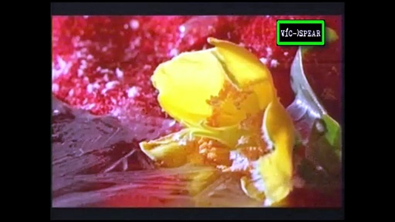 Horizonte Científicos: Momias del Hielo - la Doncella de Hielo - Documental (1997) Español Latino