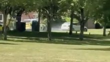 Alarming Police Pursuit Disrupts Family Picnic in UK Field