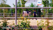 Лошади, наследие и новое поколение наездников