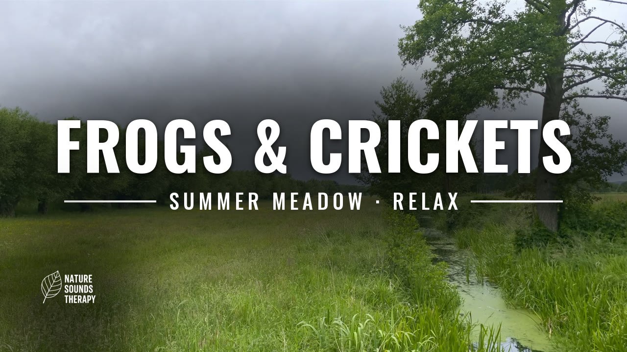 Cricket Sounds and Frogs · Summer Meadow for Relaxation