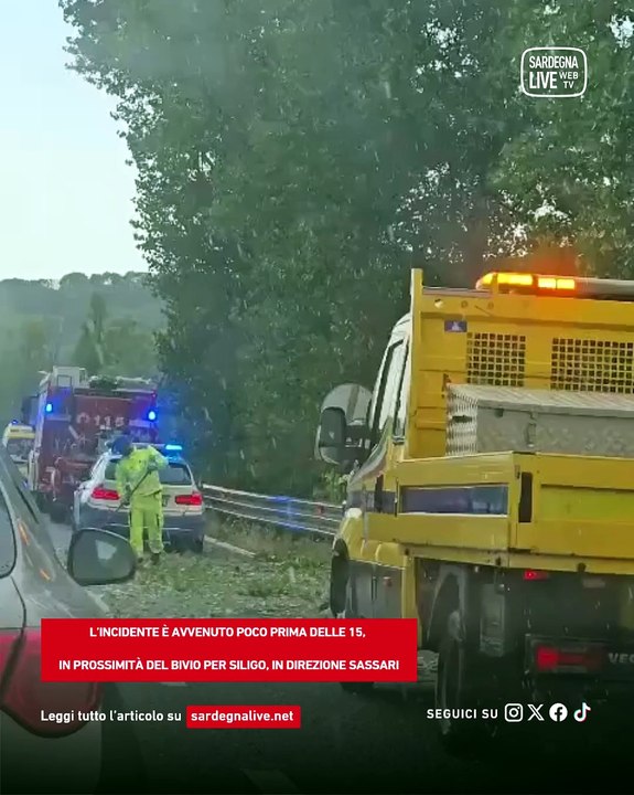 Tragedia sfiorata sulla SS 131: un albero si abbatte su un?auto in corsa