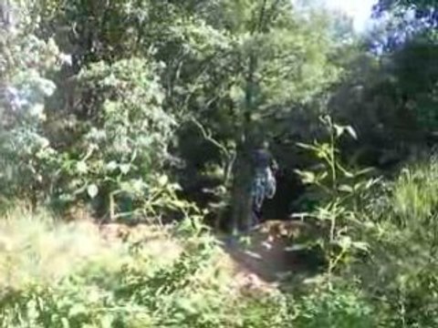 Capturées 2008-6-27 00016