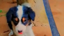 Playing with my cute little babies 🤣🤣🤣🤣