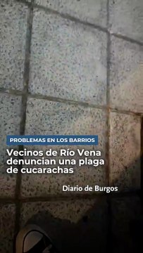 Vecinos de Río Vena y Comuneros denuncian una plaga de cucarachas en el alcantarillado
