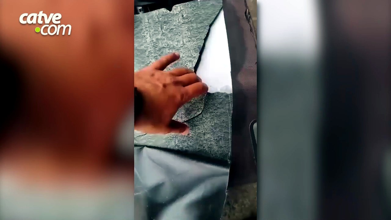 Polícia Militar apreende mais de 7 quilos de haxixe avaliados em R$ 400 mil em Cascavel