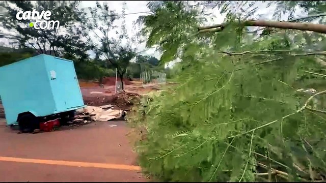 Duas árvores caem durante temporal, interditam rua e deixam casa sem energia em Cascavel