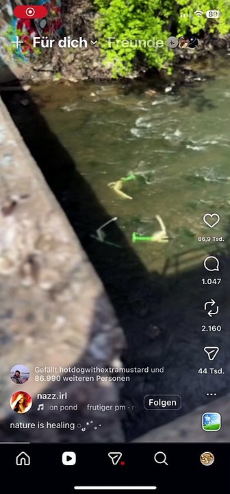 ScreenRecording_05-08-2026 19-01-58_1