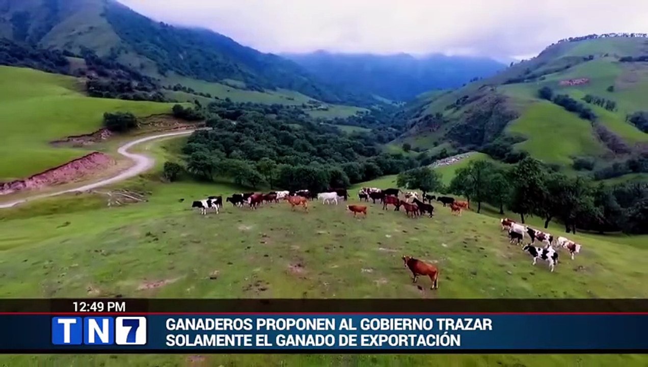 GANADEROS PROPONEN AL GOBIERNO TRAZAR EL GANADO DE EXPORTACIÓN Y NO APLICAR LA OBLIGATORIEDAD A TODO EL SECTOR [Full Movie]