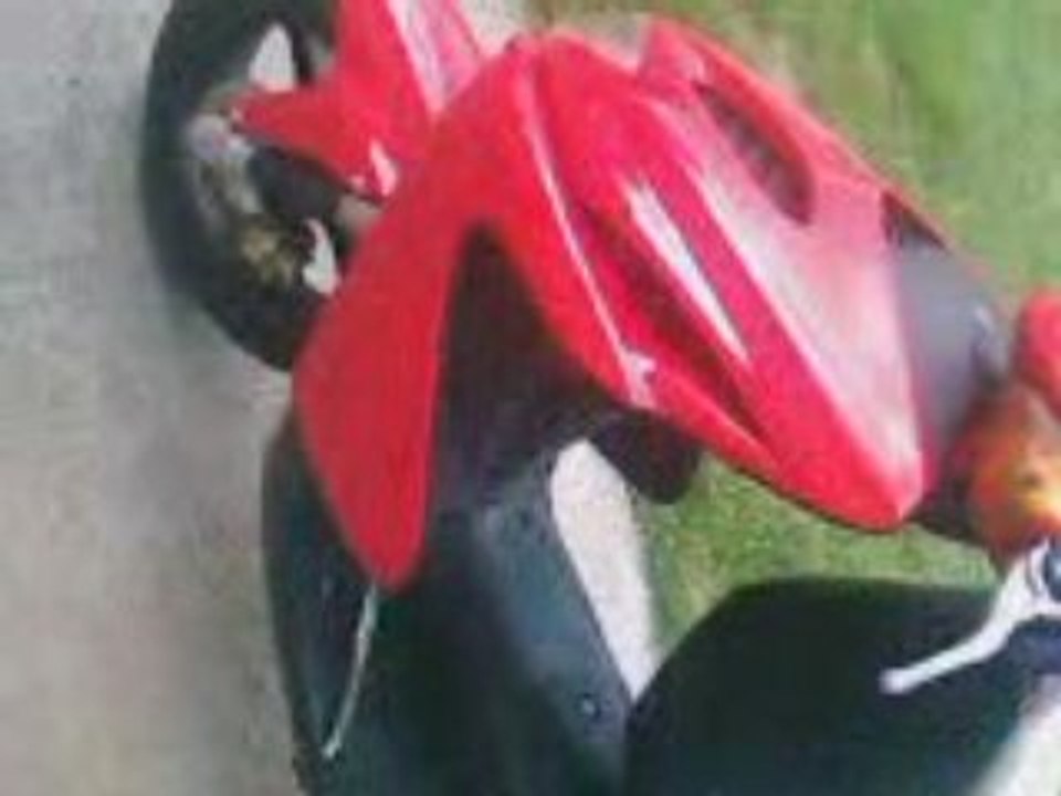 scoot
