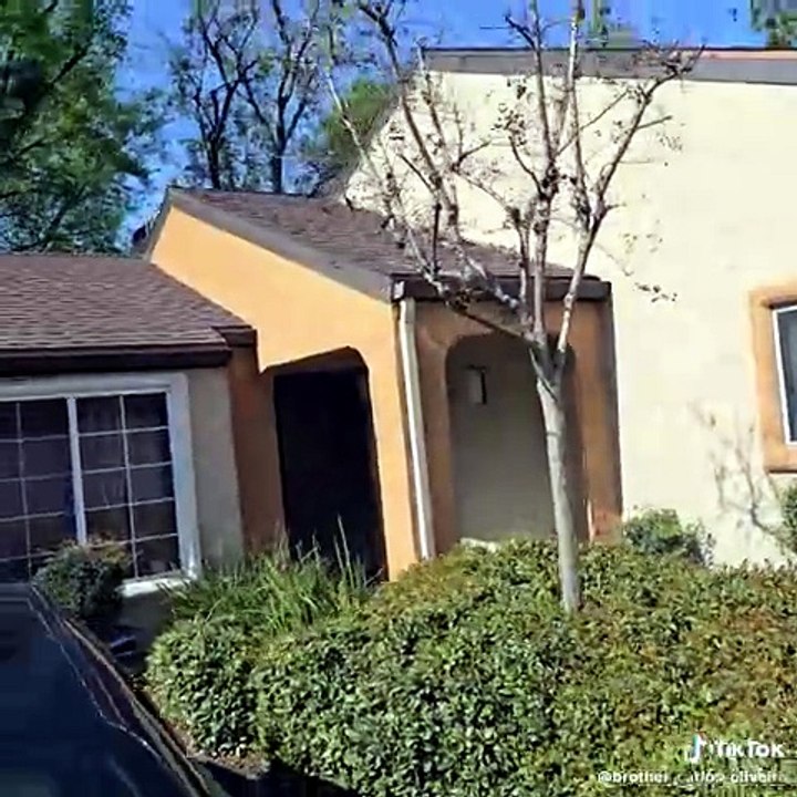 A cat on top of a house crying to get down from it. #catlover #catlife #cat #funnycats #cats #catsoftiktok