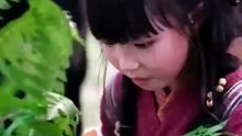 The Little Animal Whisperer- Drama Movie English Sub