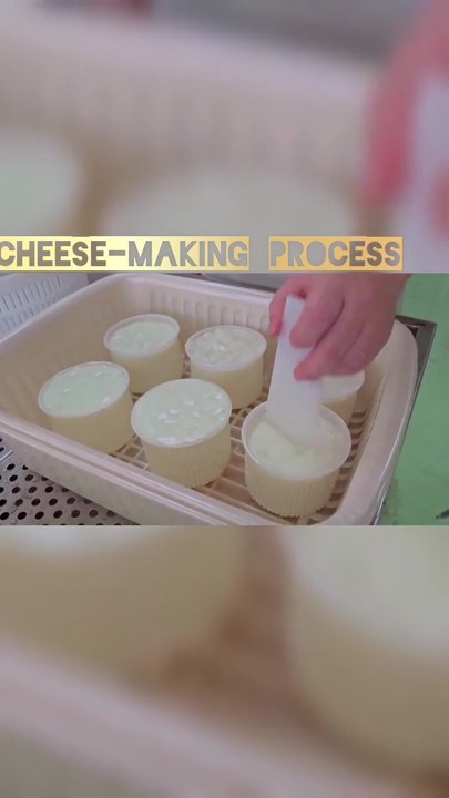 cheese-making process in Taipei