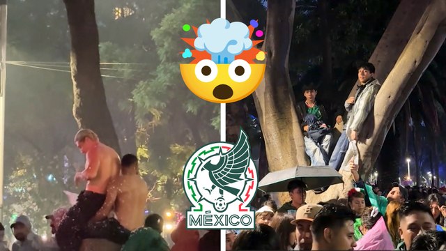 Afición de México se cuelga hasta de los árboles para ver el México - Ecuador