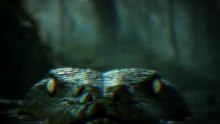 Titanoboa: A Cobra Gigante Que Pode Ter Inspirado a Lenda da Boiúna