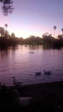 BUENOS AIRES, ARGENTINA: Atardecer nos lagos de Palermo
