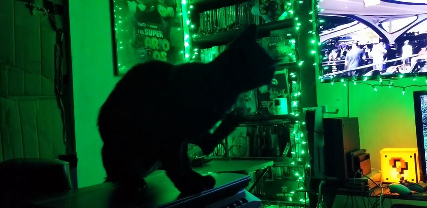 Apr 22, 2026 My black cat came home.  Im crying