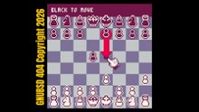 GNUBSD 404 Long N169 Pico CheckMate (Linux/Web/Pico)