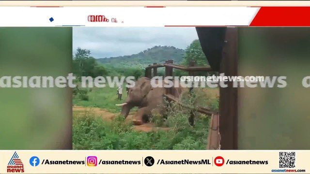 'എന്‍റെ ഐഡിയ ആയിപ്പോയി' റെയില്‍വെ ബാരിക്കേഡിനിടയില്‍ കാട്ടാന കുടുങ്ങി | Wild Elephant